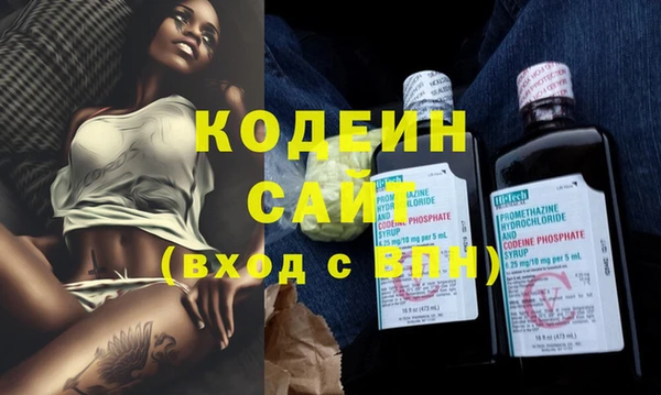хмурый Лиски