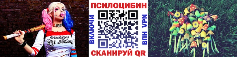 Галлюциногенные грибы Cubensis  кракен tor  Мончегорск 