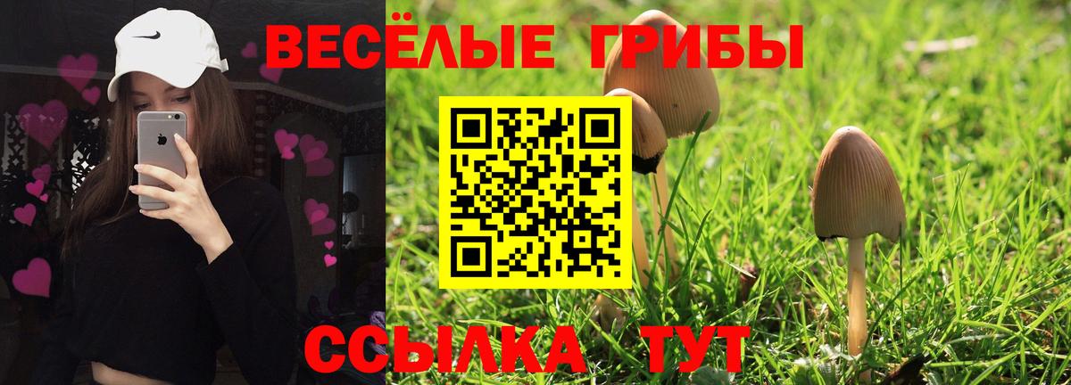 Мончегорск  Псилоцибиновые грибы Psilocybine cubensis  где купить наркоту  Вход с VPN  Псилоцибиновые грибы GOLDEN TEACHER 